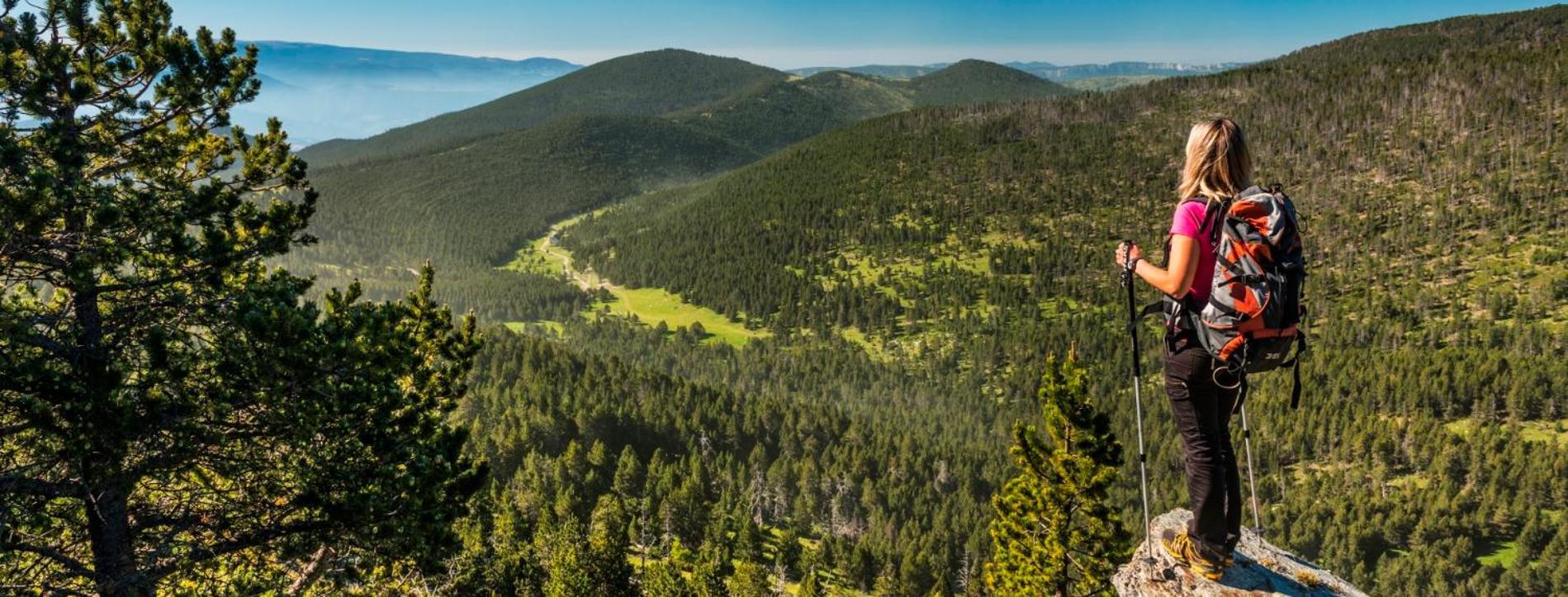 Apartaments Sort Pirineus Eksteriør billede